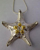 Medium Starfish